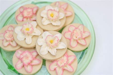 emily hutch|How to make Sugar Cookies from Creative Cookie Decorating.